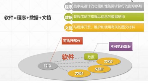 信息系统工程监理前导课 软件开发全视角