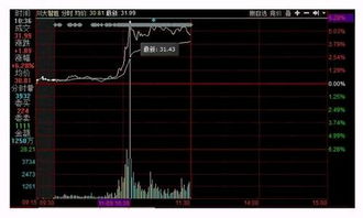 特朗普当选总统对软件开发行业的影响与应对